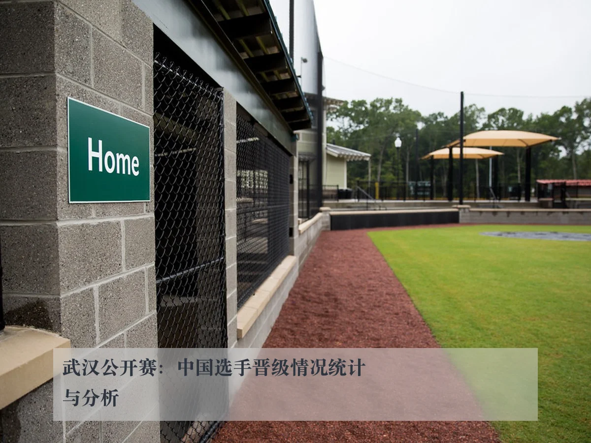武汉公开赛：中国选手晋级情况统计与分析